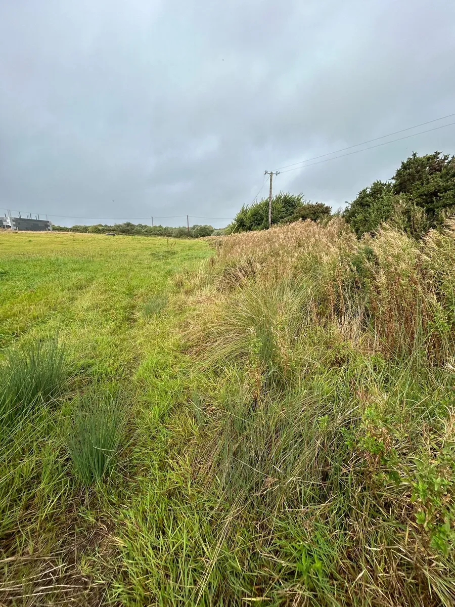 Site