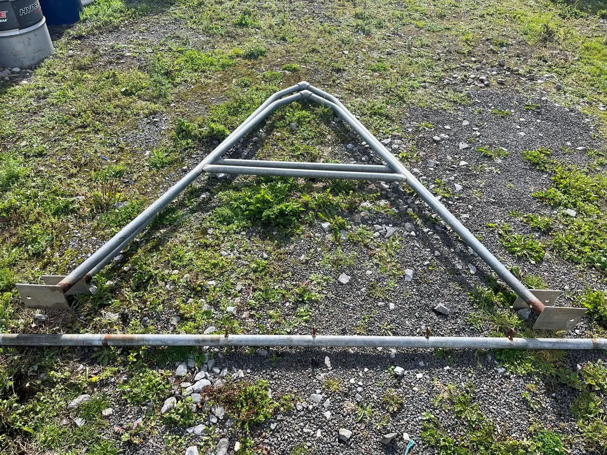 Swings - Image 4