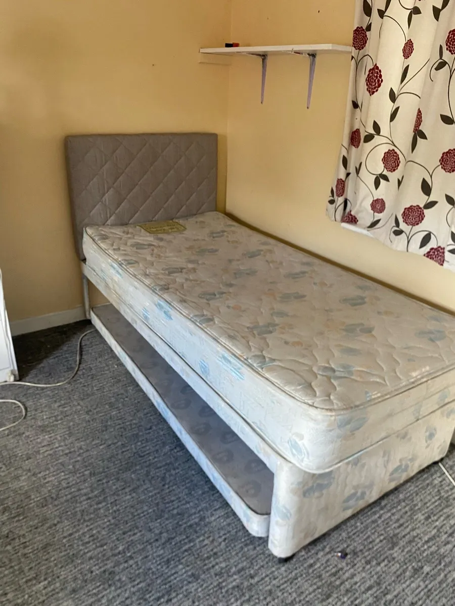Single bed FREE - Image 1