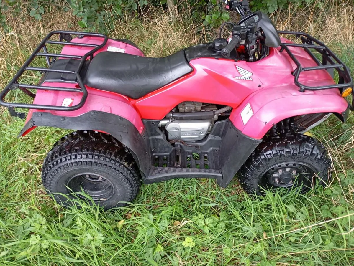 Honda quad 250 - Image 4