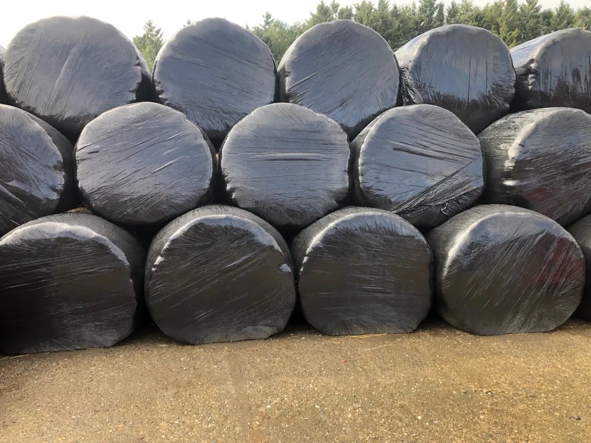 Silage bales for sale