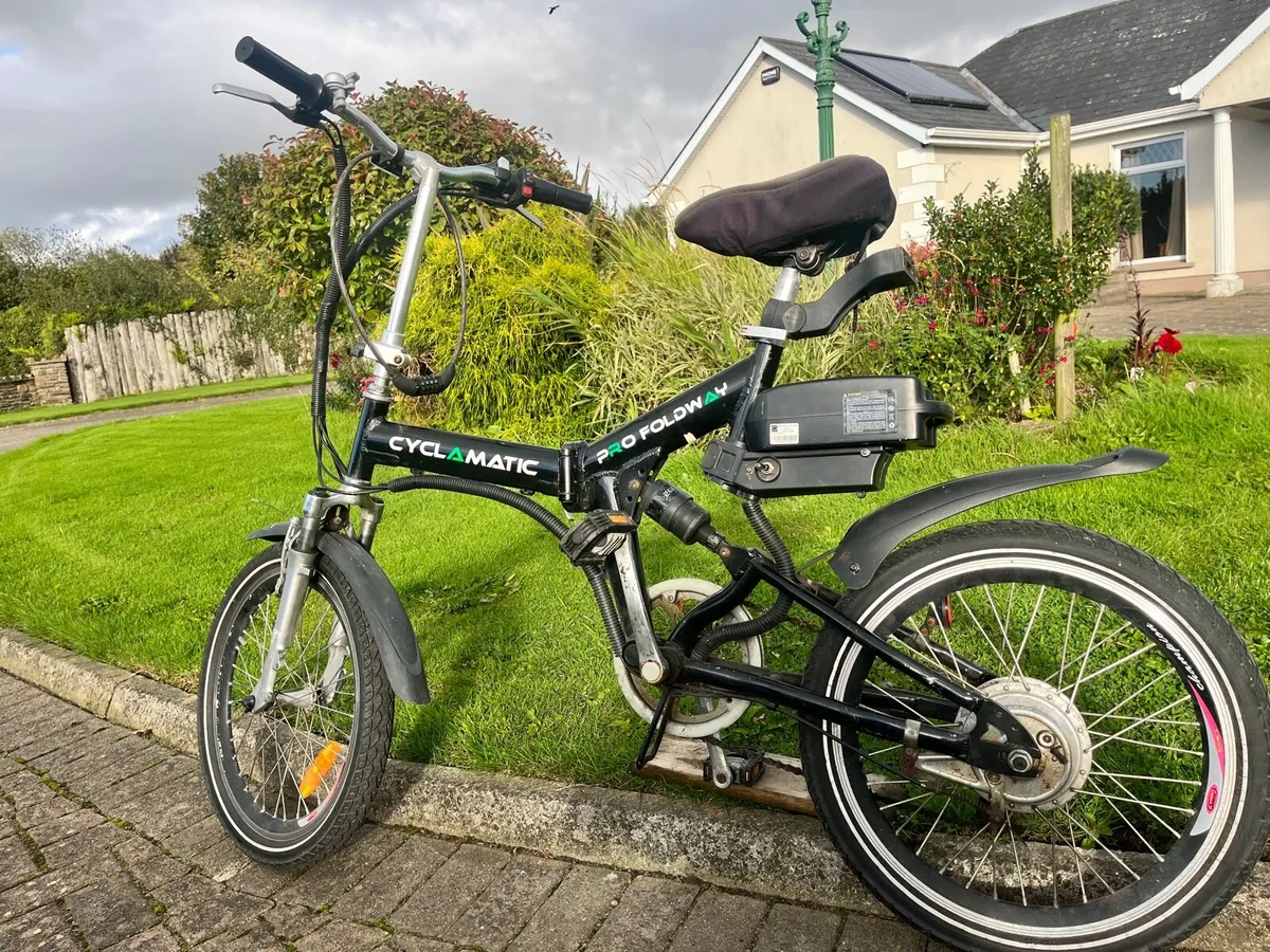 Electric Bicycle - Image 1