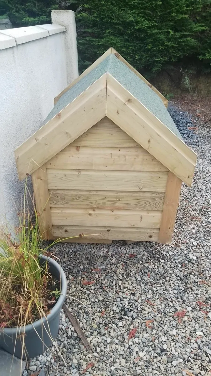 Dog box - Image 3