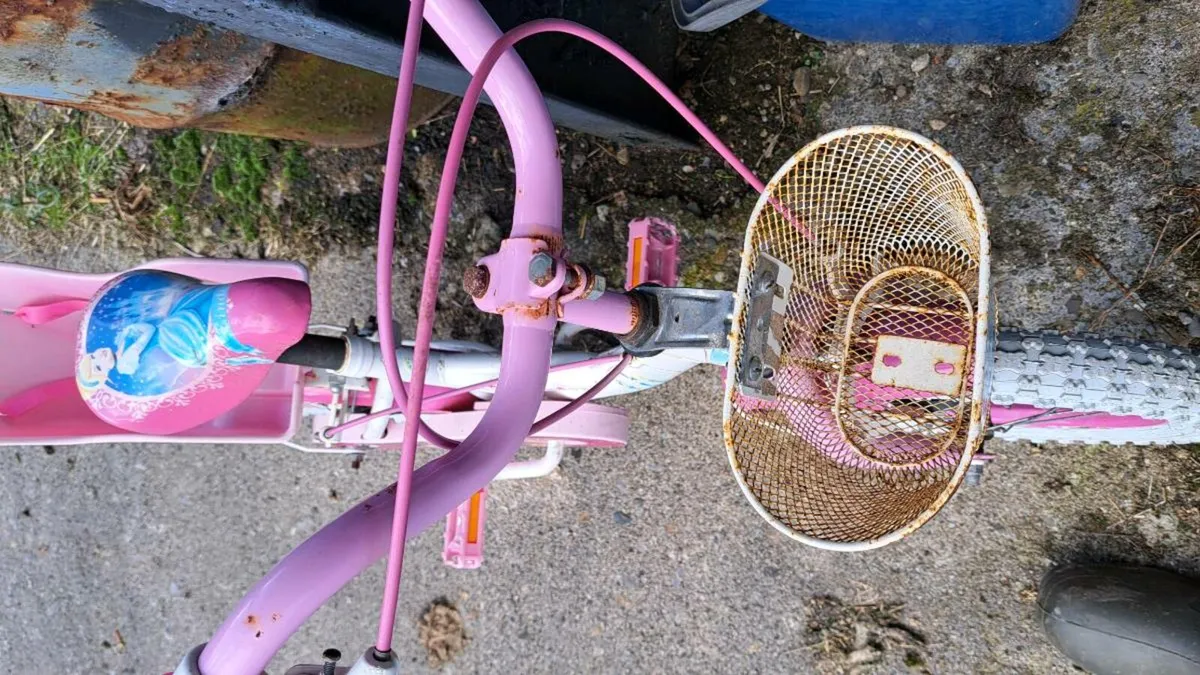 Free Girls starter bike - Image 4