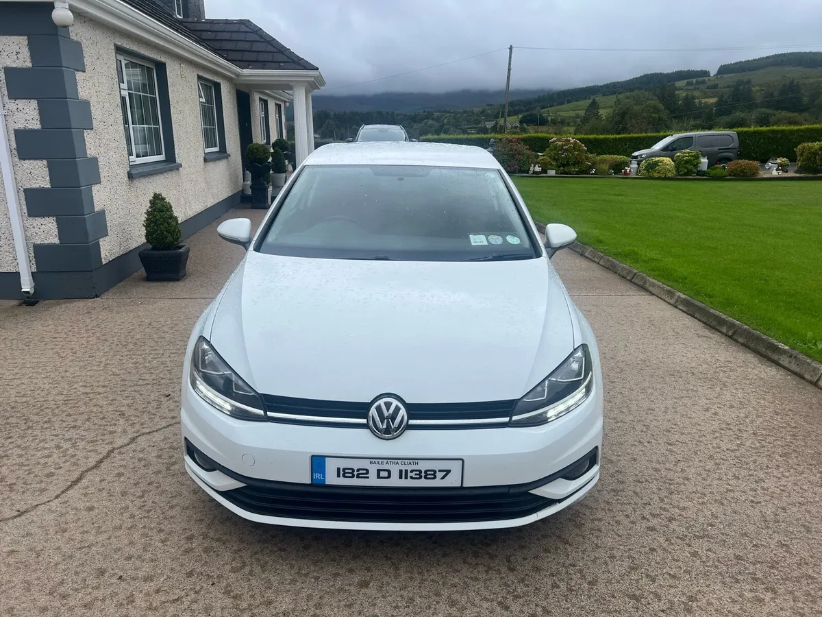 Volkswagen Golf Van - Image 2