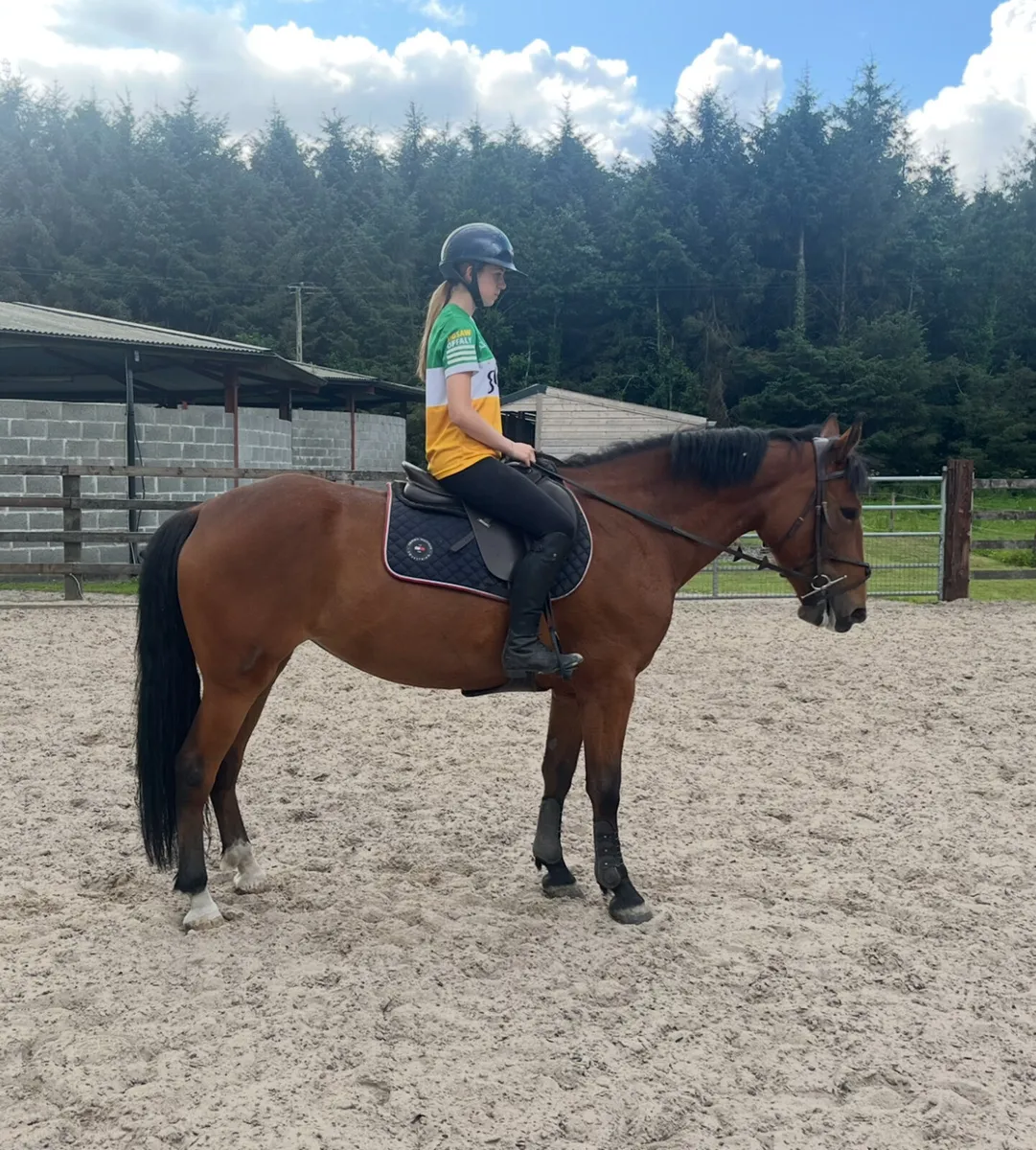158 mare - Image 1