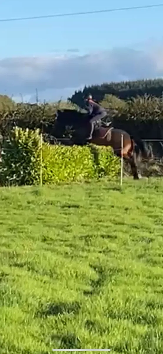 15h hunter - Image 3