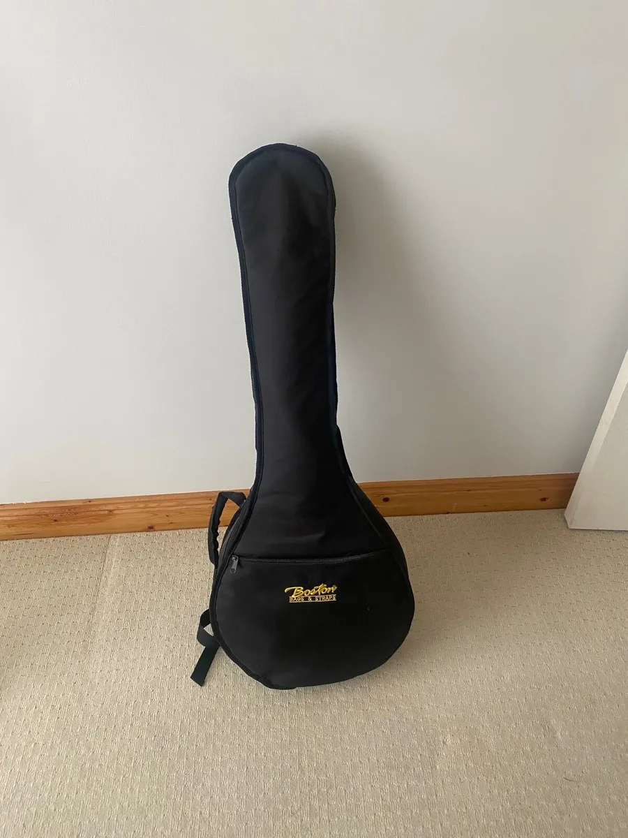 Irish Tenor Banjo - Image 3