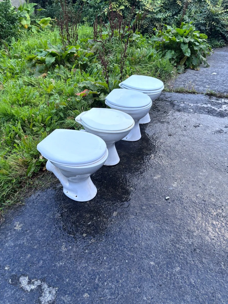 Sinks and Toilets - Image 1