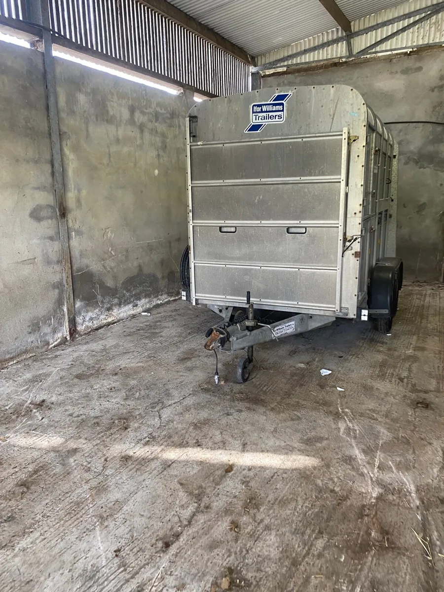 Ifor Williams 8x5 - Image 1