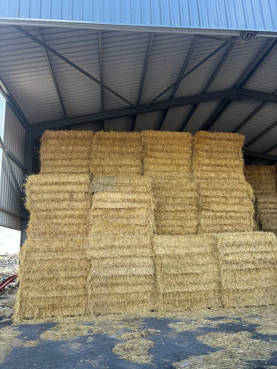 Hay & straw