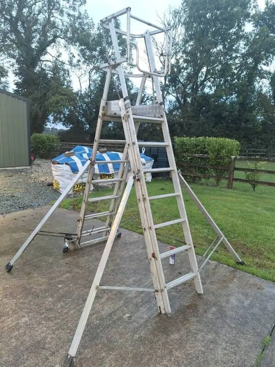 podium ladder - Image 1