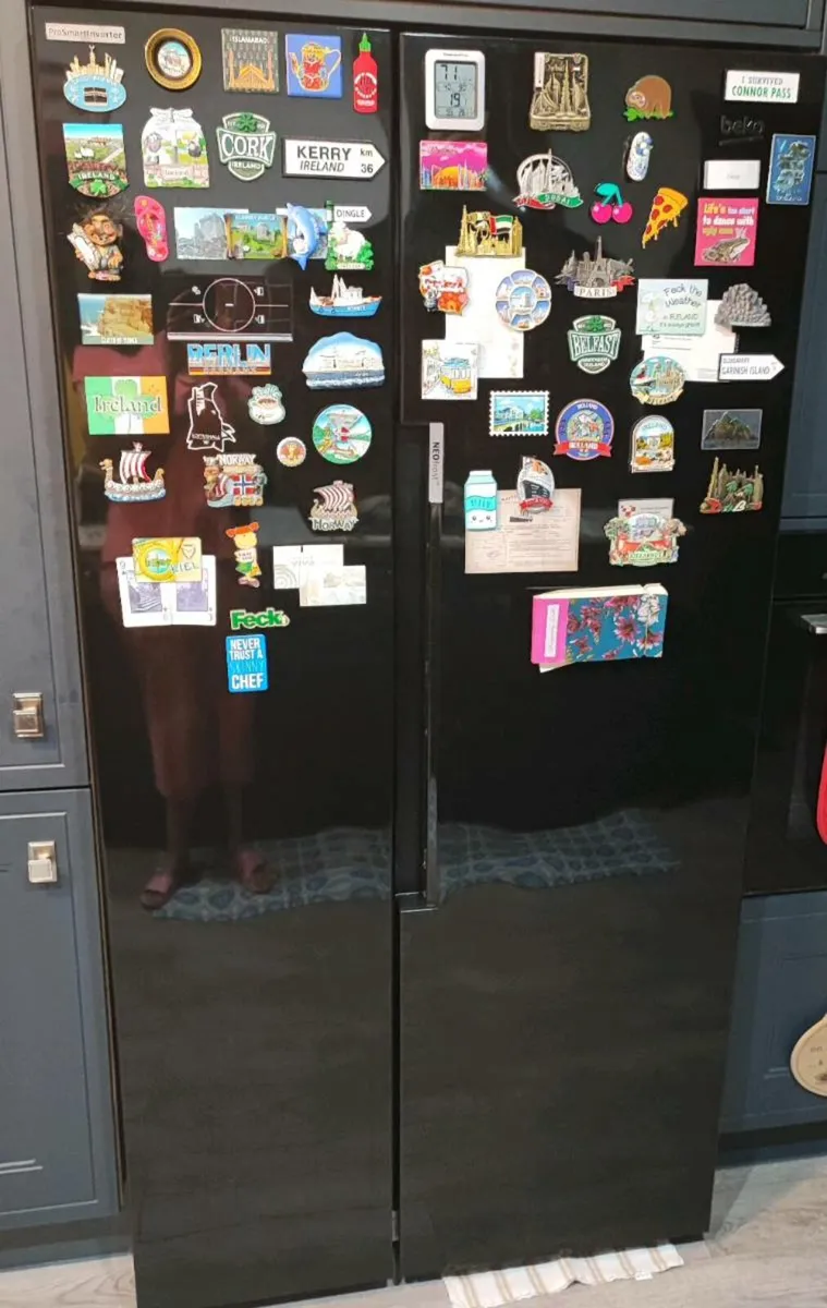 Beko ASL1442VPZ Freestanding American Style Fridge - Image 4