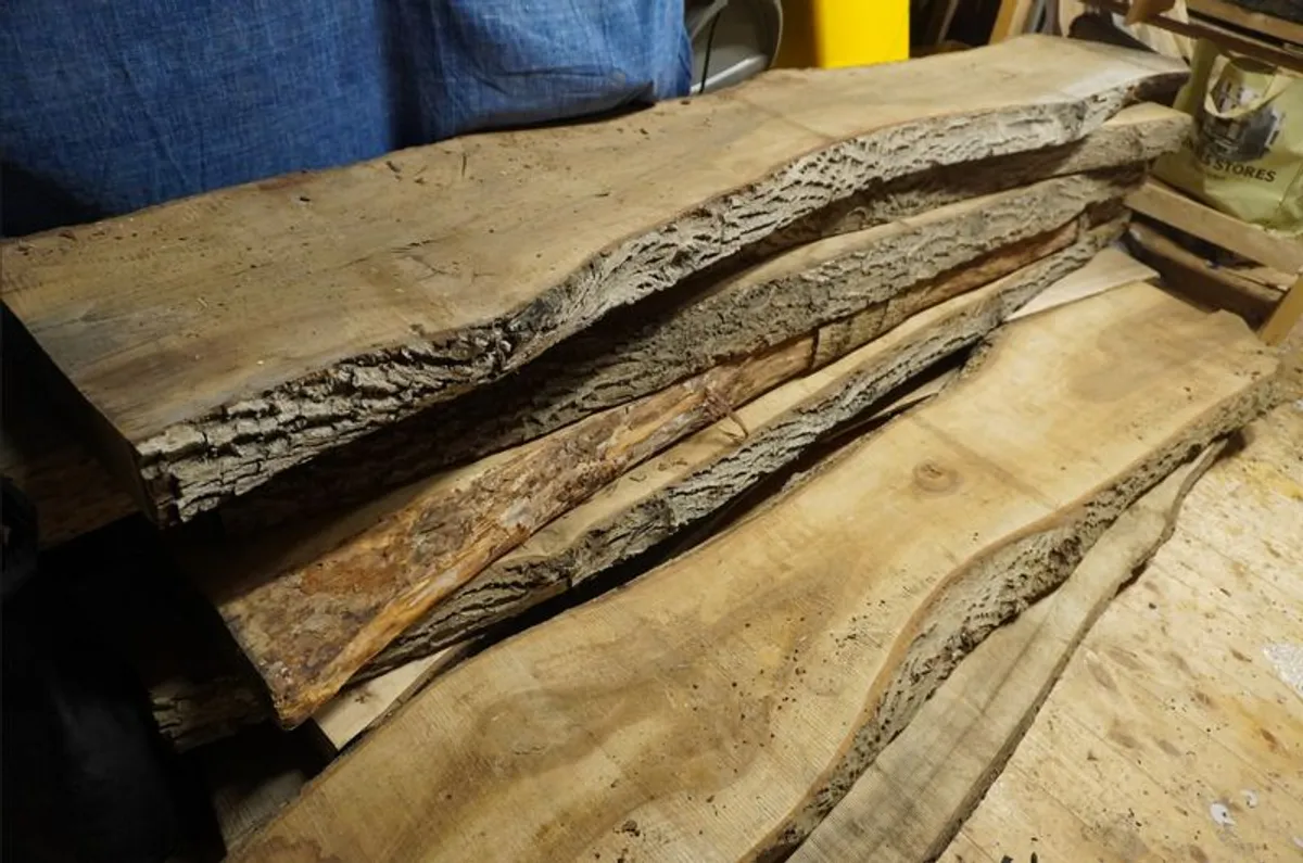 European Walnut Live Edge Slabs, Unique Hardwood, Direct Import (Dublin) - Image 1