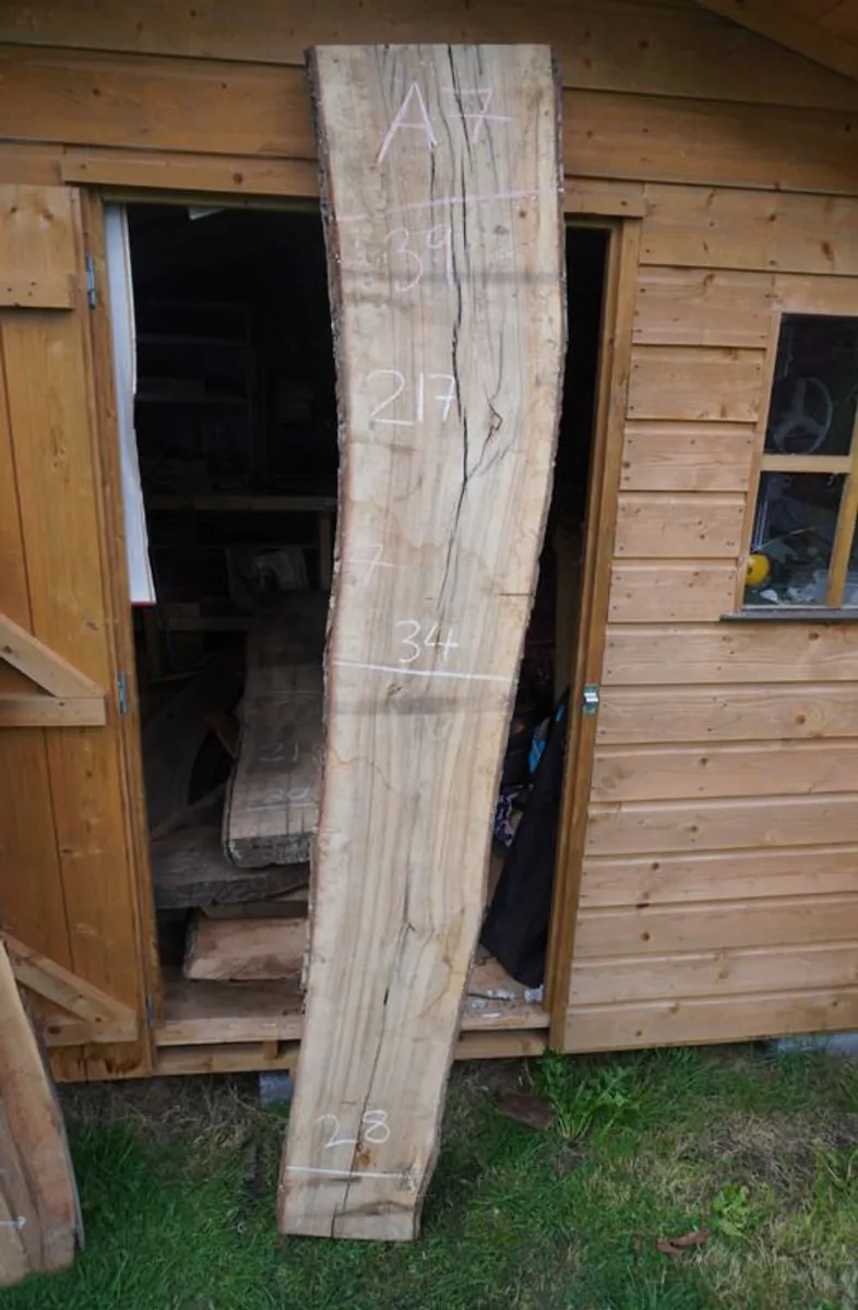 European Walnut Live Edge Slabs, Unique Hardwood, Direct Import (Dublin) - Image 3