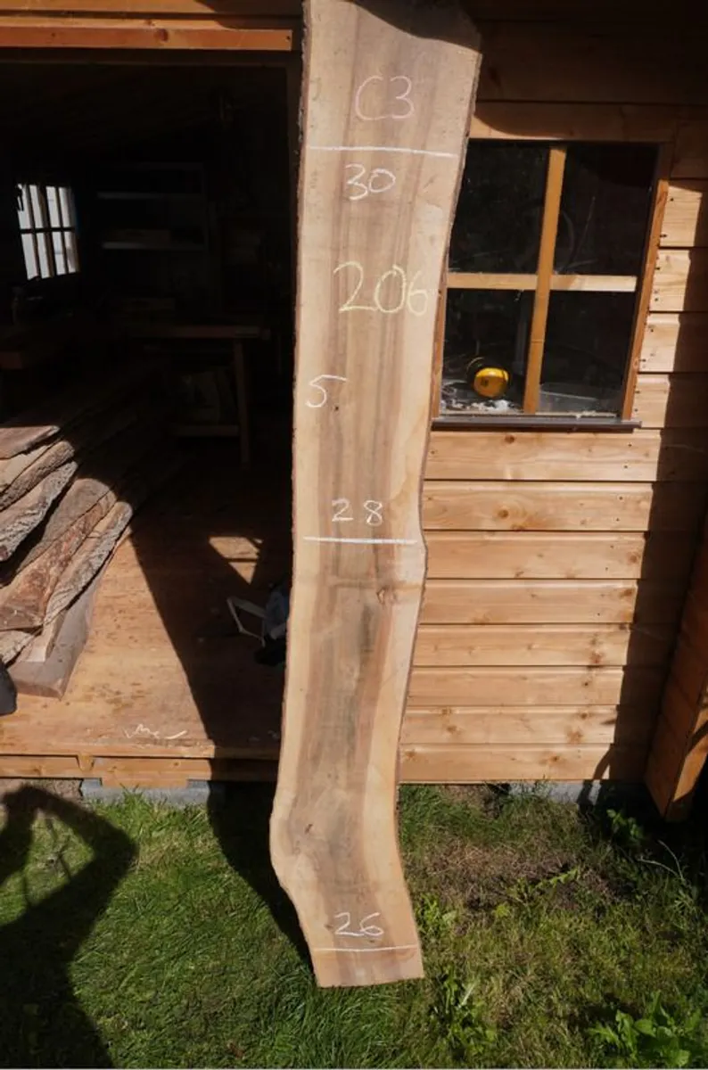 European Walnut Live Edge Slabs, Unique Hardwood, Direct Import (Dublin) - Image 4