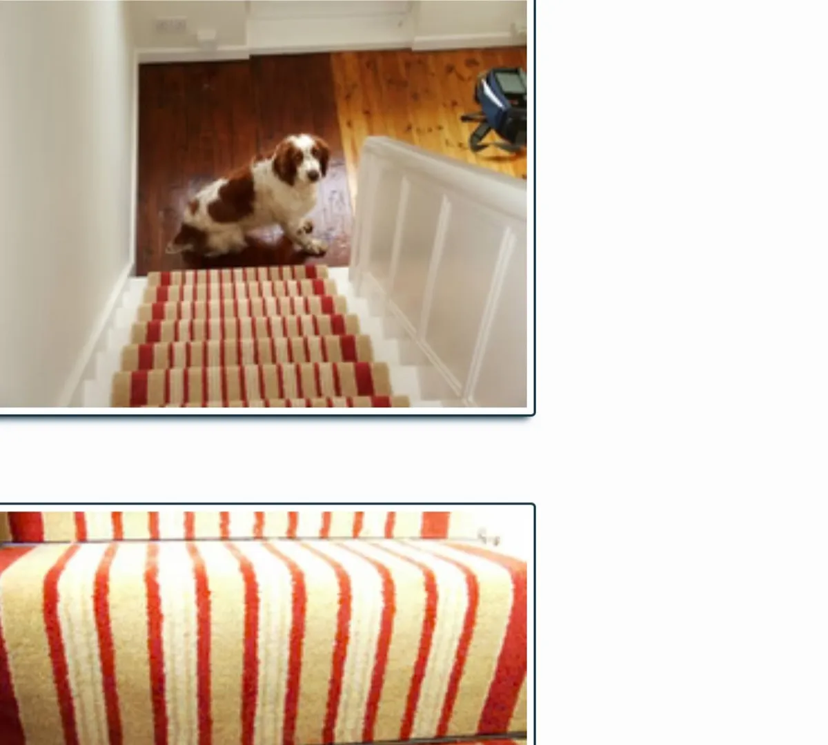 Laura Ashley Raspberry Lovage Stair Runner - Image 1