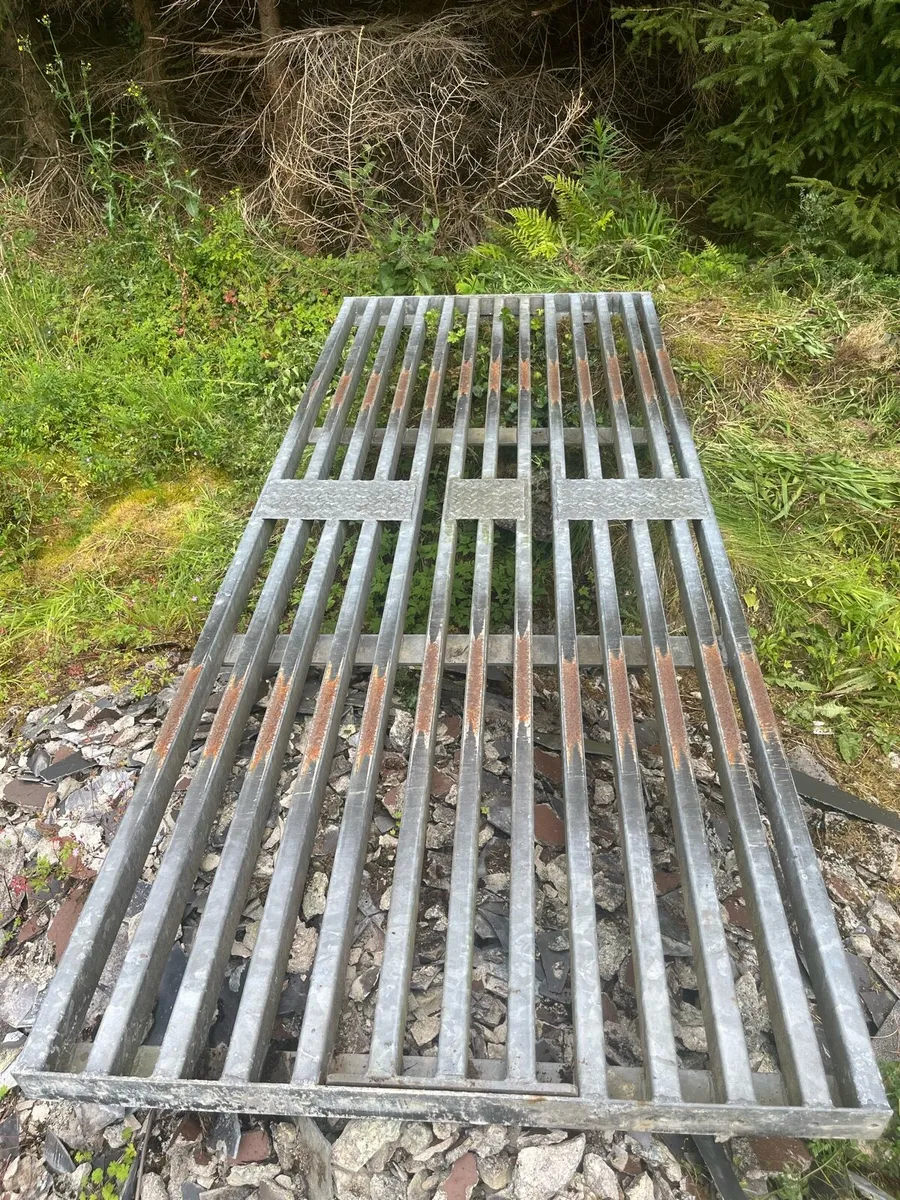Cattle Grid - Image 1