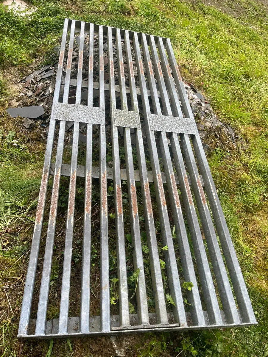 Cattle Grid - Image 2