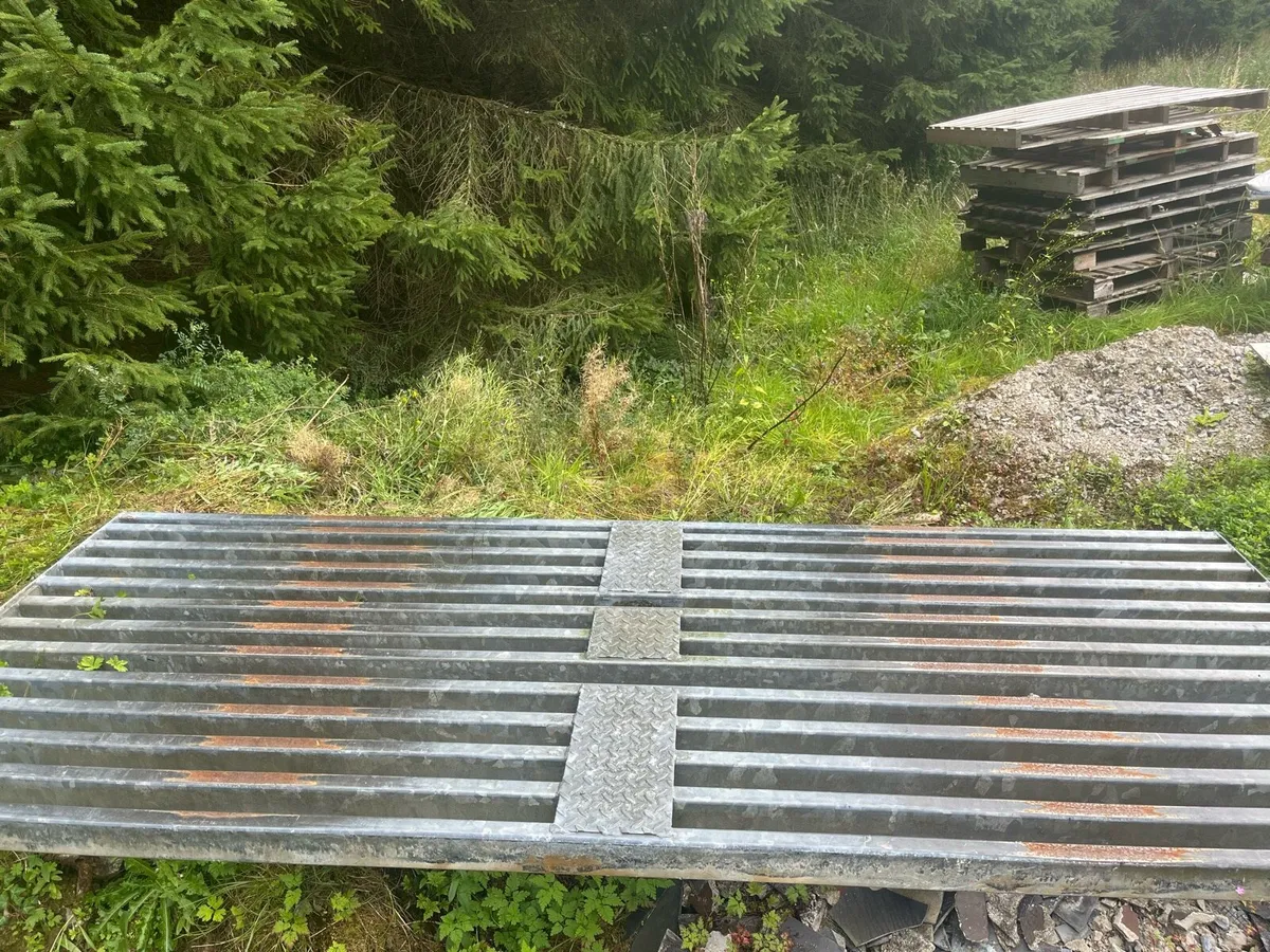 Cattle Grid - Image 3