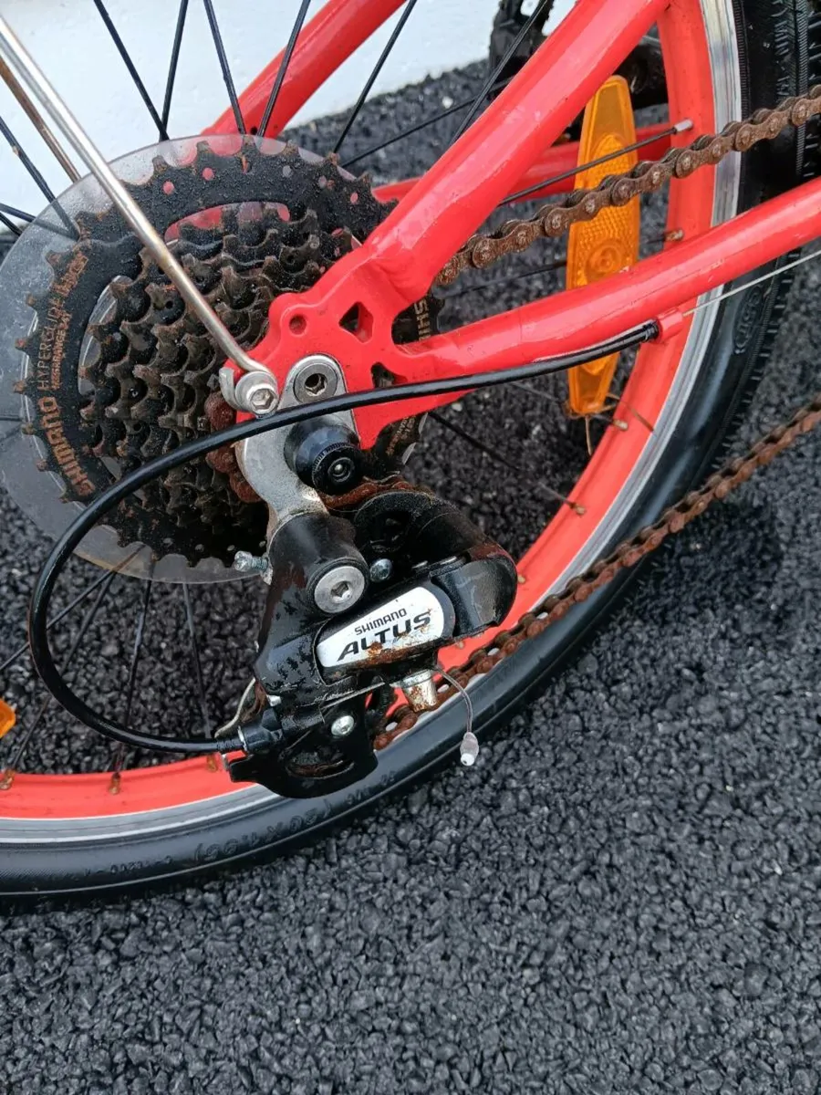 Trek Bicycle: Kids - Image 4