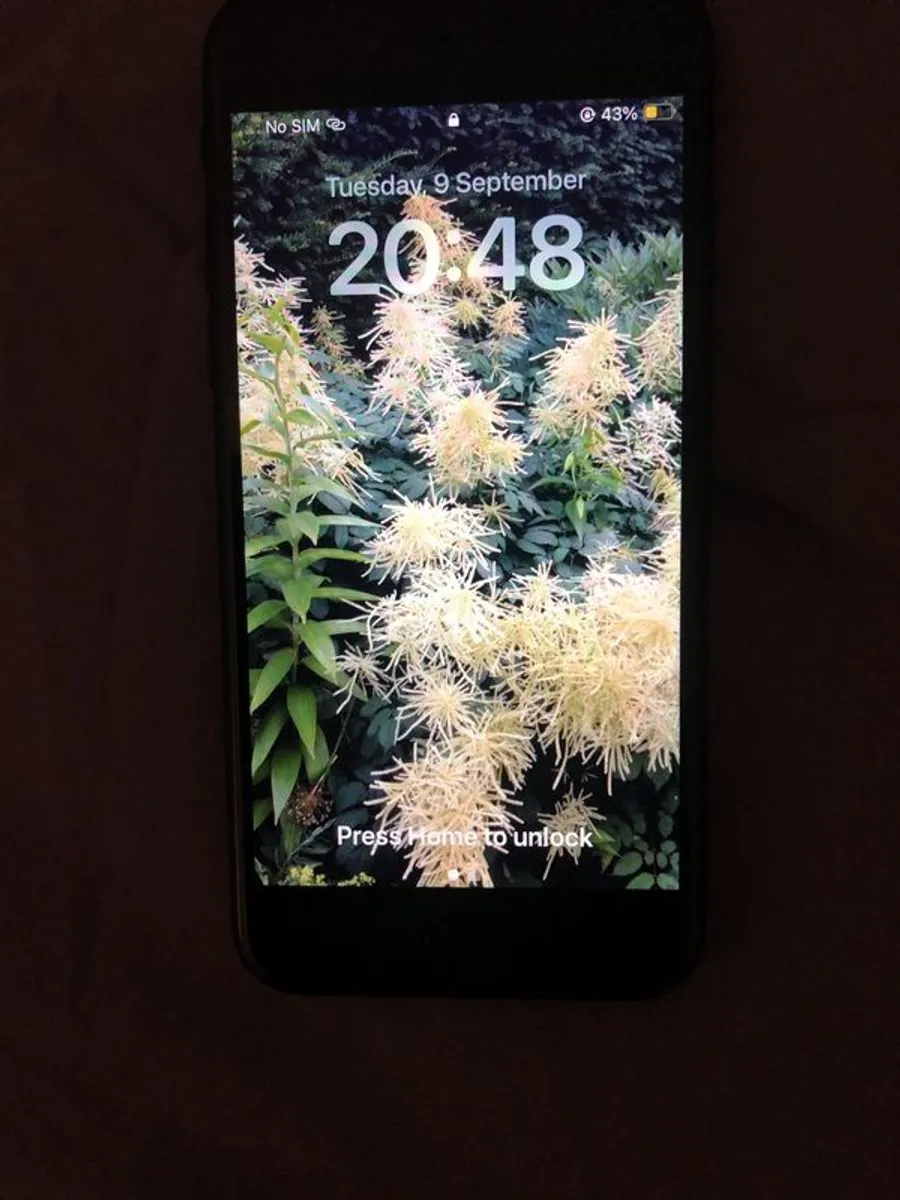iPhone SE 2020 2nd edition - Image 4