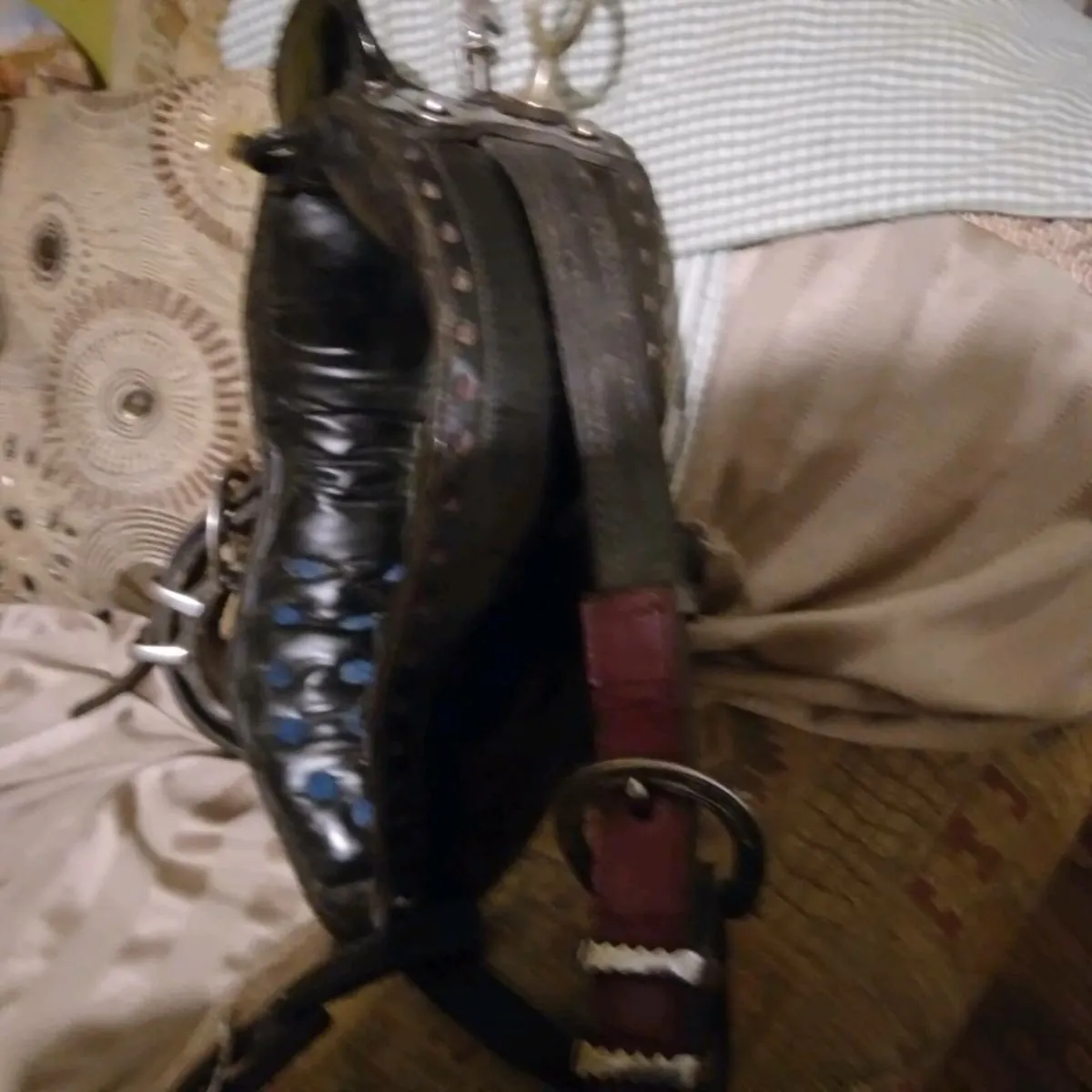 Leather driving harness - Image 2