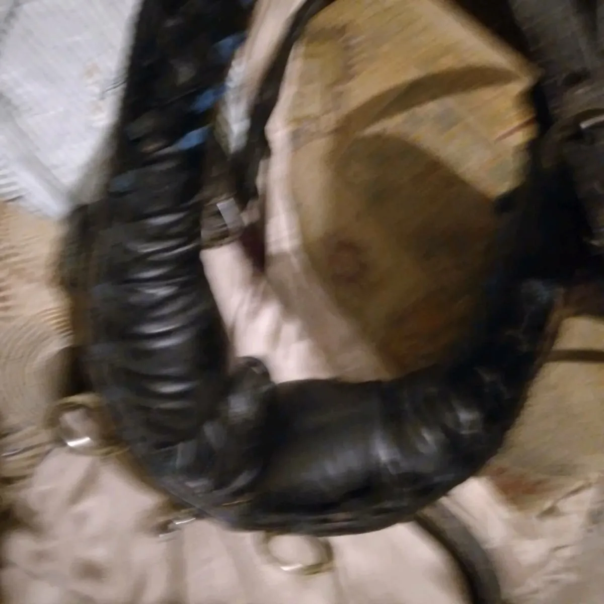 Leather driving harness - Image 3