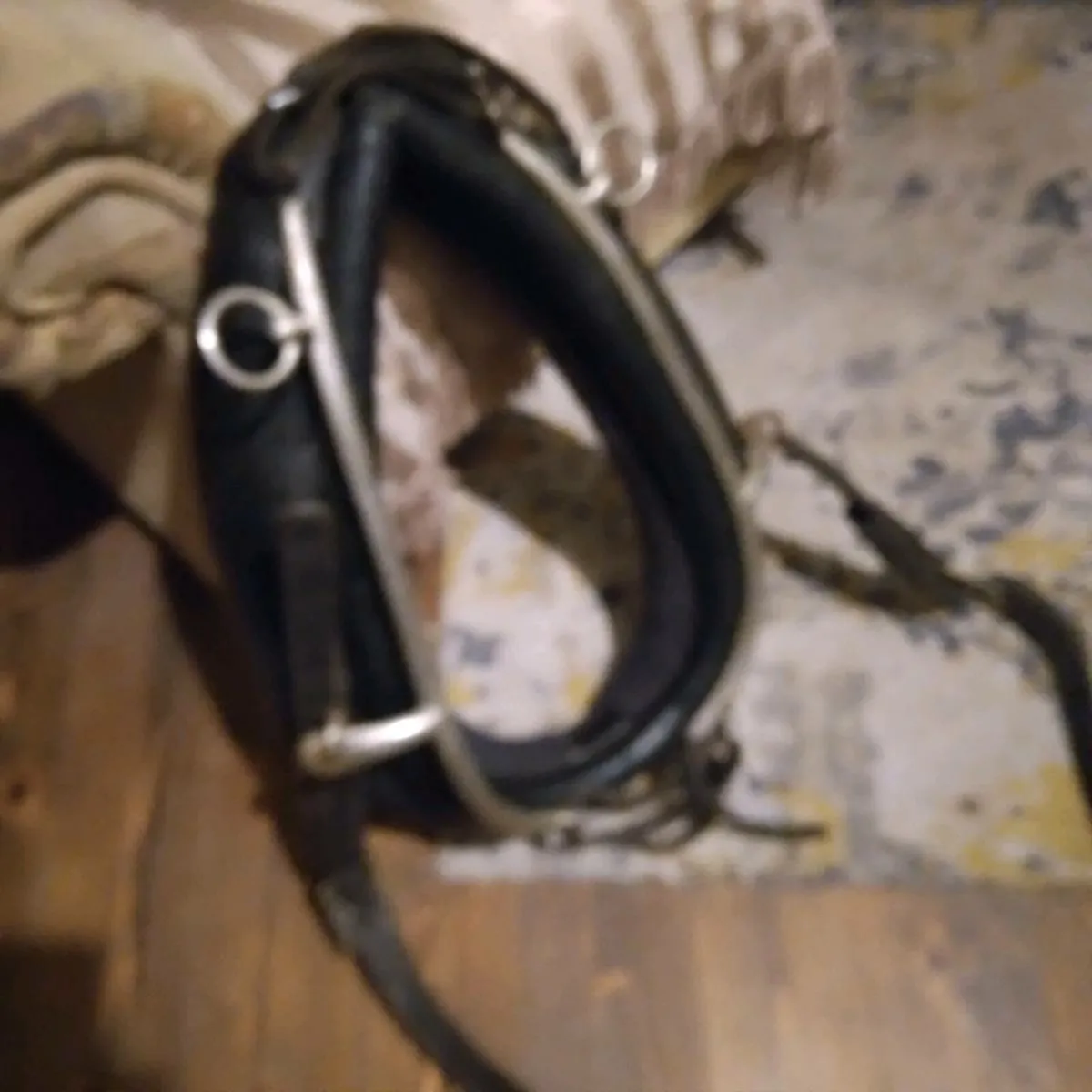 Leather driving harness - Image 4