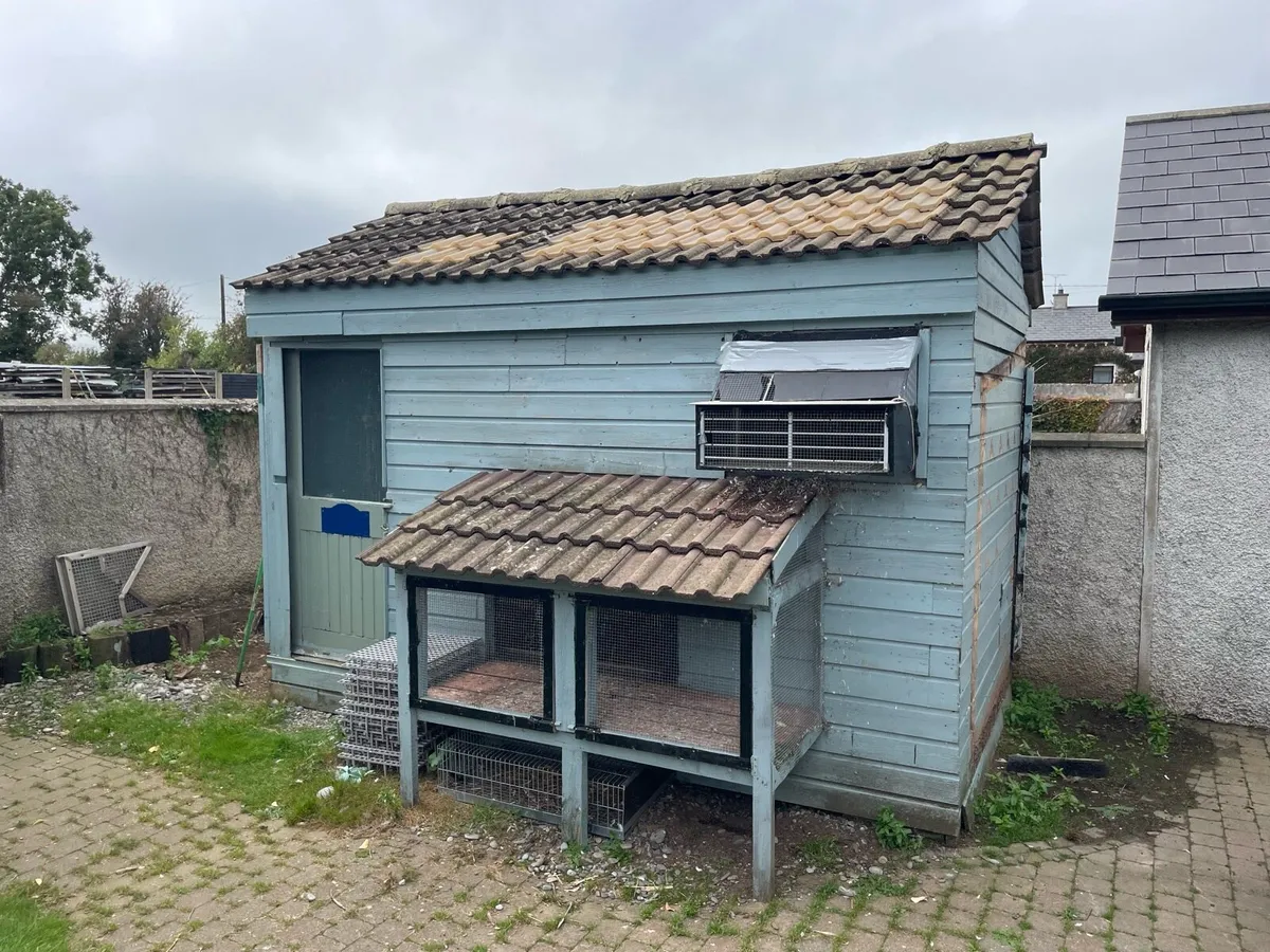 Pigeon loft fully equipped - Image 1
