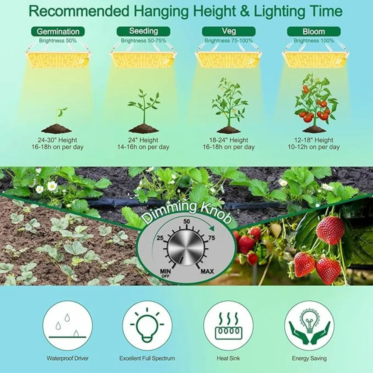 Grow Light - Image 4