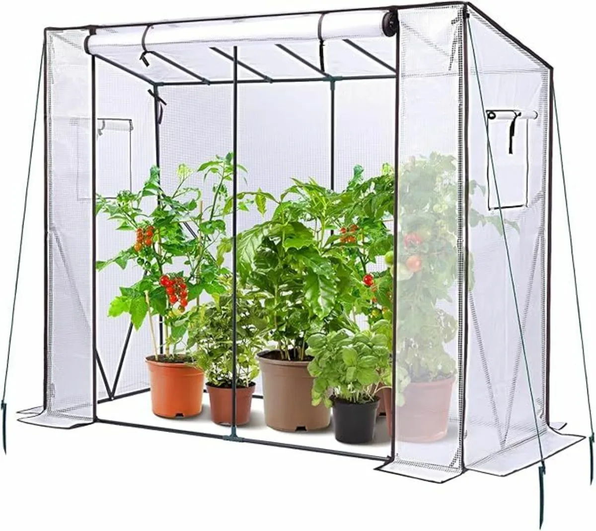 Greenhouse - Image 3