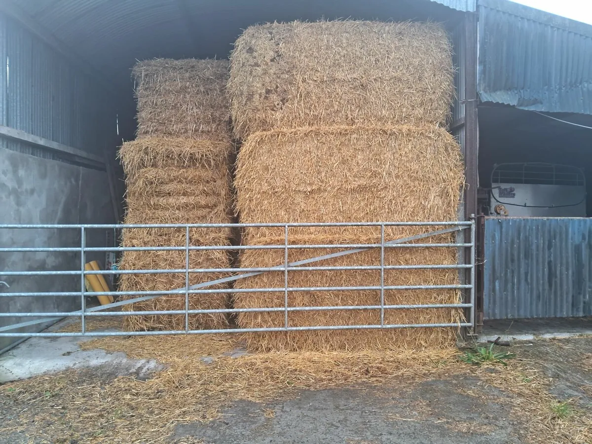 Straw