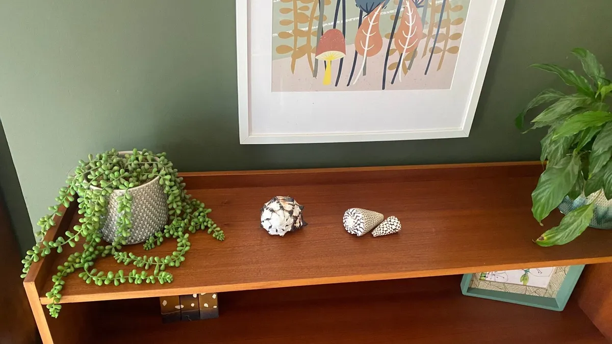 Mid century Bookcase - Image 2