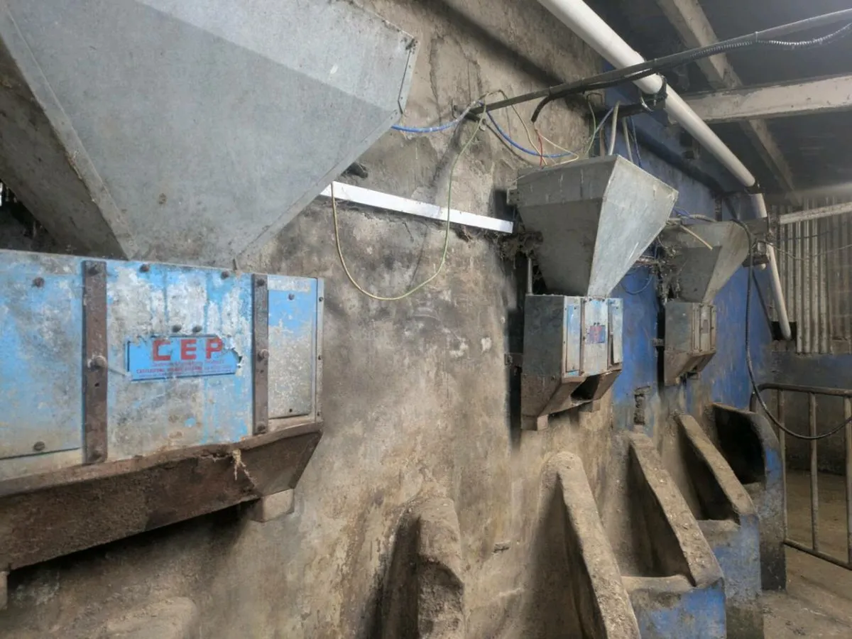 Milking Parlour Cashman Air Feeders - Image 3
