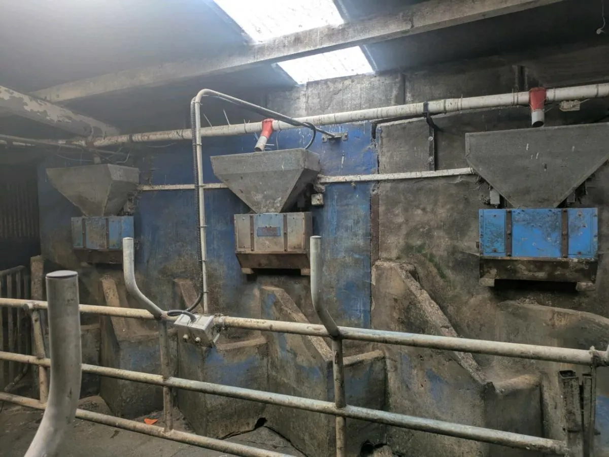Milking Parlour Cashman Air Feeders - Image 4