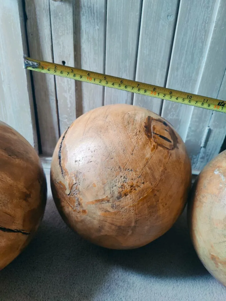 Large Decorative Maple Burls - Image 2