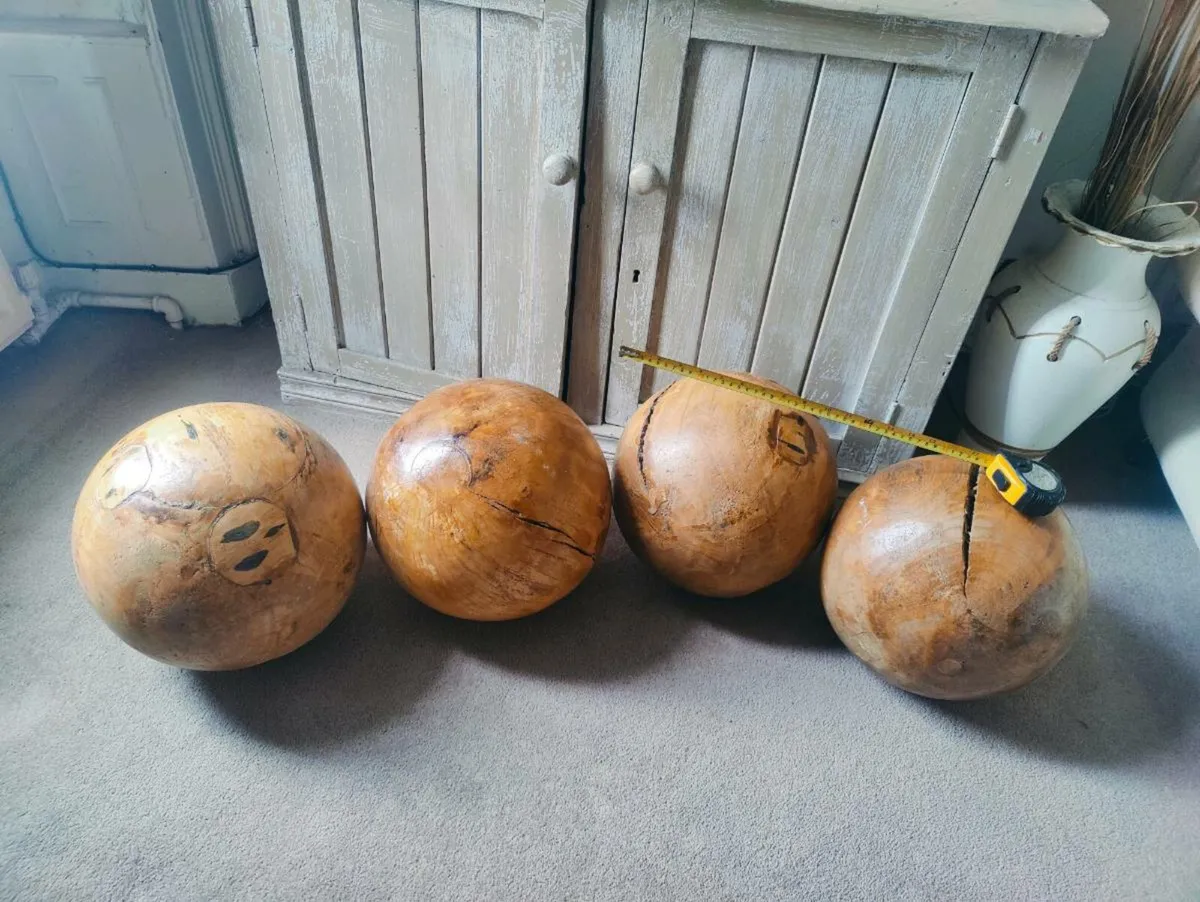 Large Decorative Maple Burls - Image 1