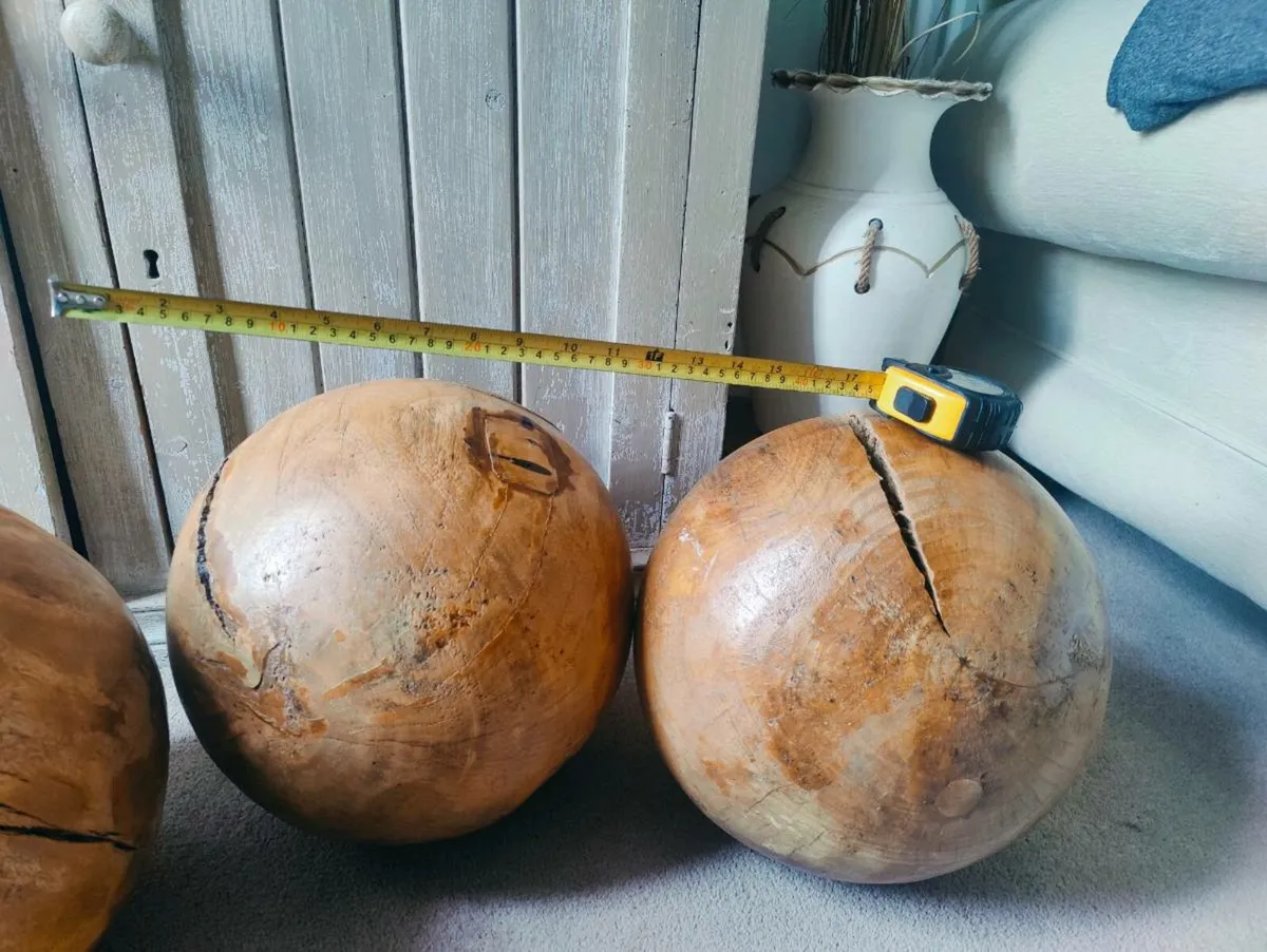Large Decorative Maple Burls - Image 3