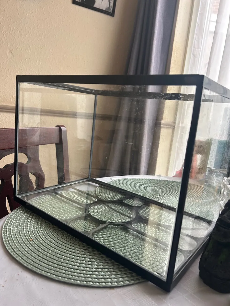 Fish tank - Image 2