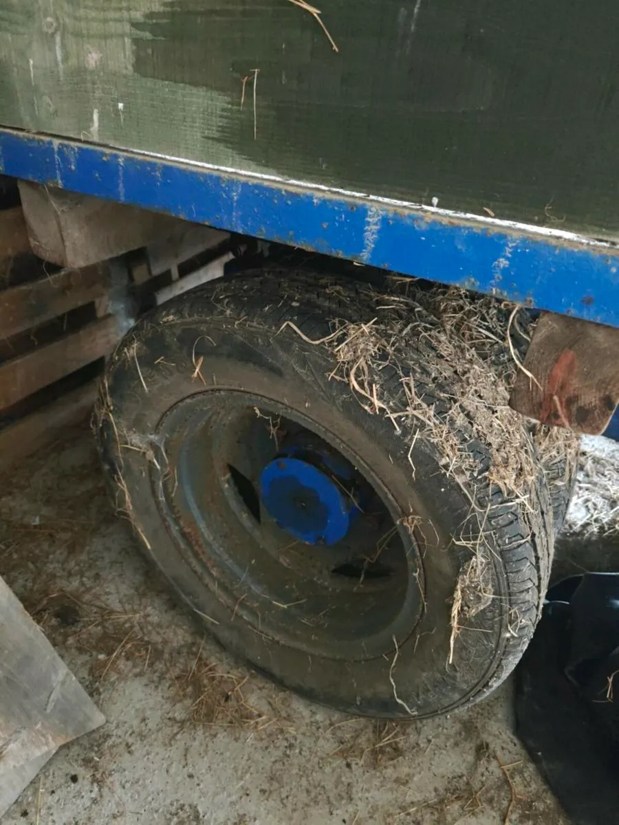 8x6 tipping trailer - Image 3