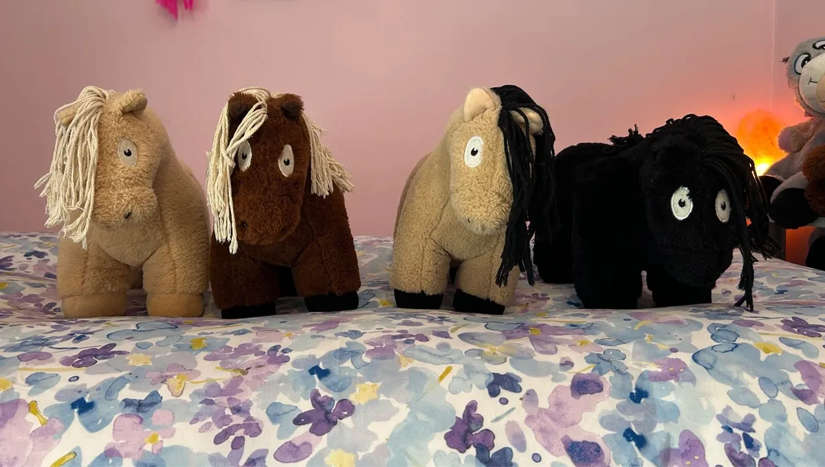 Tack room clear out - Image 3