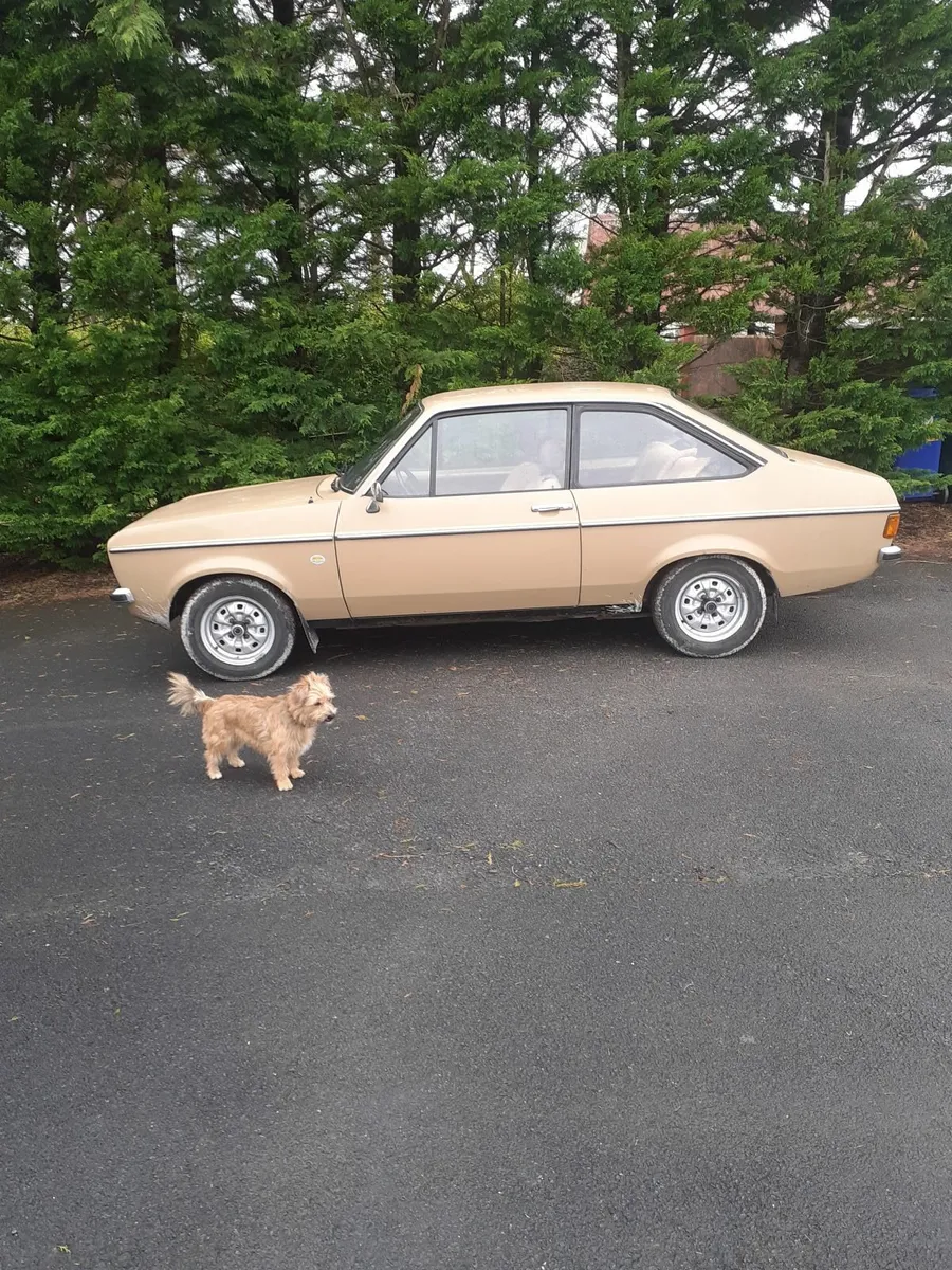 Mk2 escort - Image 2