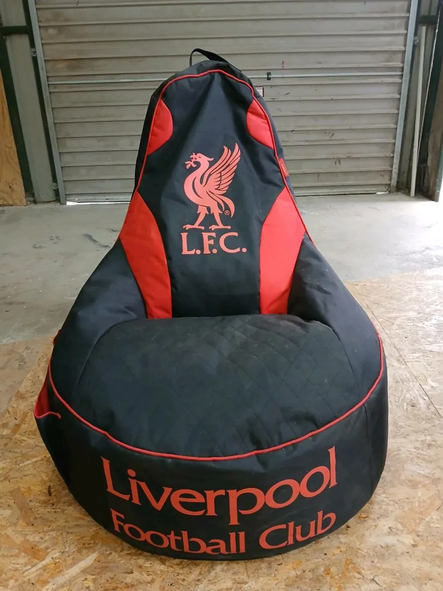 Bean bag chair - Image 1