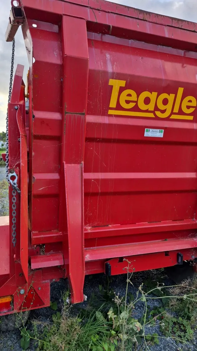 Teagle 8555 dual chop - Image 3