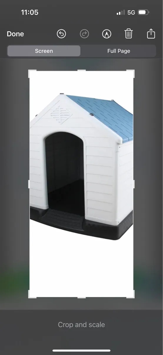 Dog house