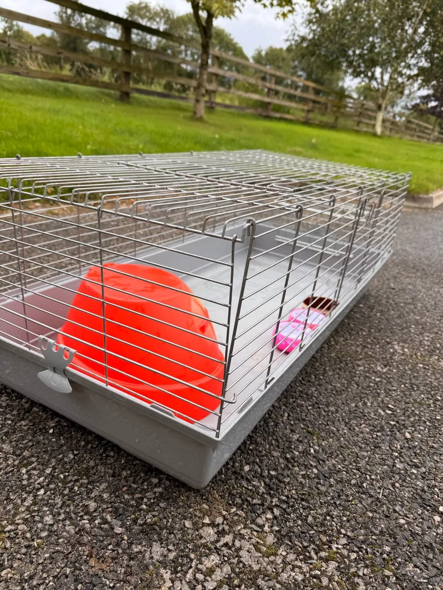 Guinea pig / rabbit cage - Image 1