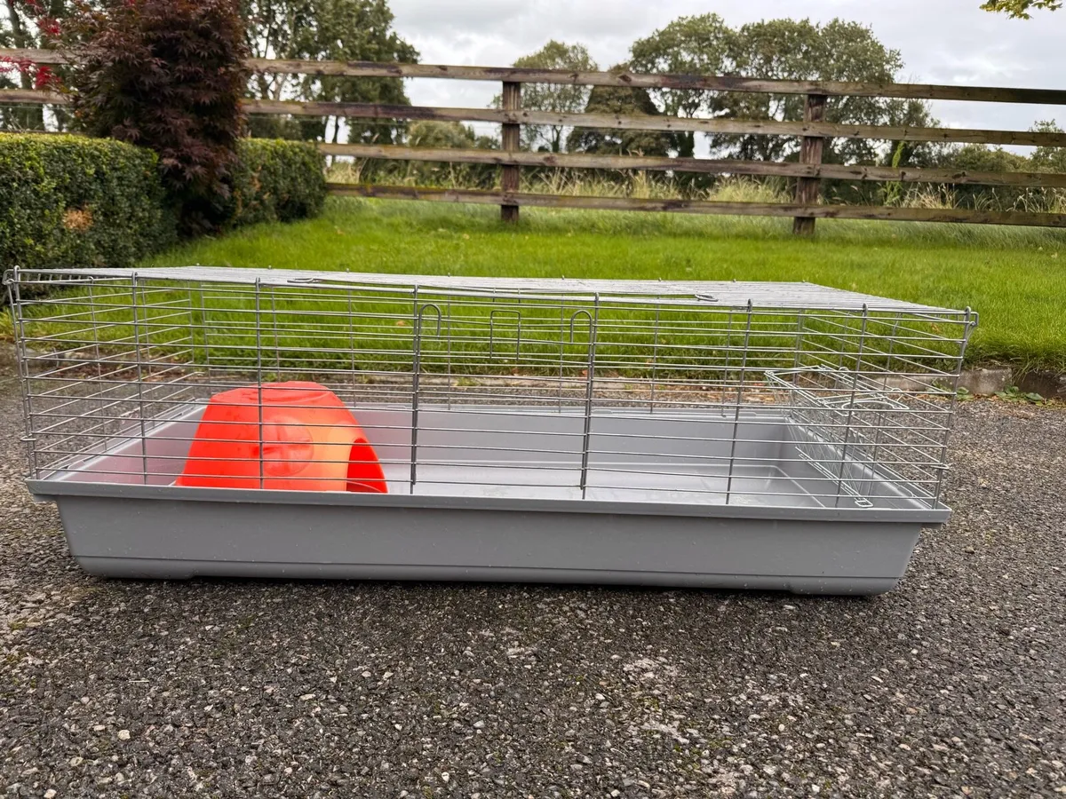 Guinea pig / rabbit cage - Image 2