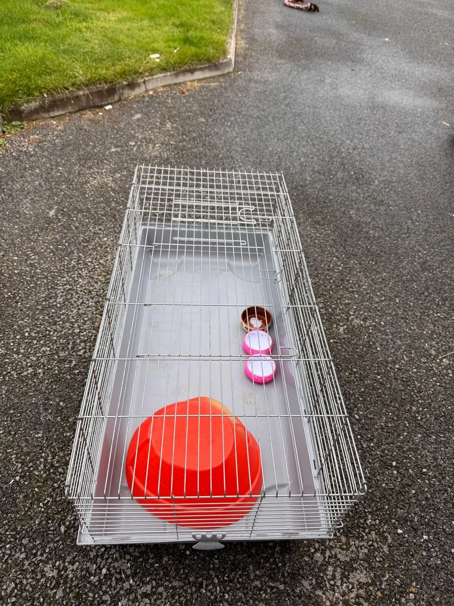 Guinea pig / rabbit cage - Image 3