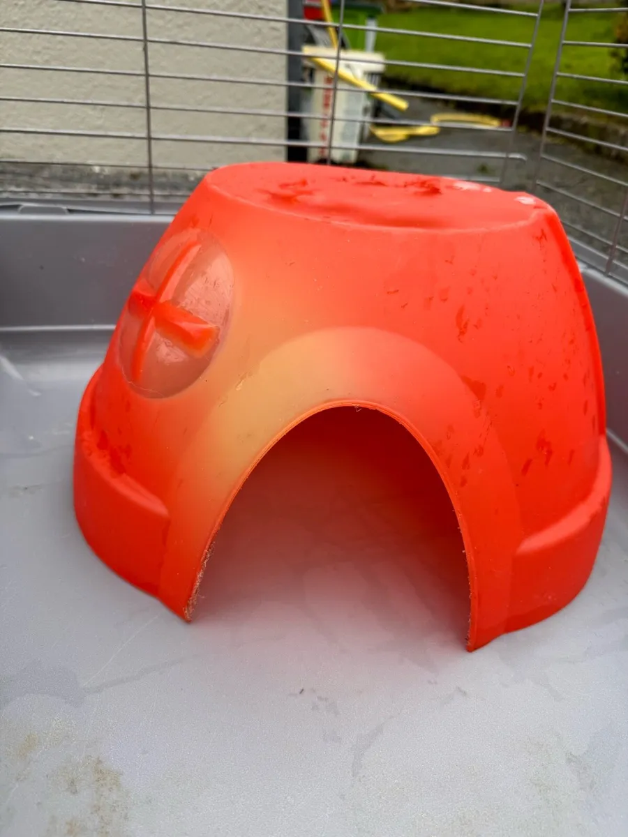 Guinea pig / rabbit cage - Image 4
